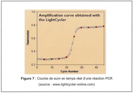 Figure 7 : Courbe de suivi en  temps réel  d'une réaction  PCR  (source : www.lightcycler-online.com) 