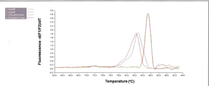 Figure 9 : Courbes de fusion après l'amplification de deux témoins négatifs et de deux témoins positifs (250 ng  d'ADN de  Toxoplasma gondit) ,  concentration des amorces  : 0,5 µmol/I ; température d'hybridation : 70°C 