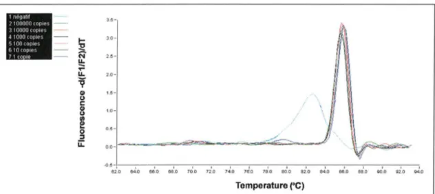 Figure 12 : Courbes de fusion  révélant  la  présence  de dimères d'amorces dans le  témoin  négatif, amorces  0,5 µmol/I, température d'hybridation 62°C 
