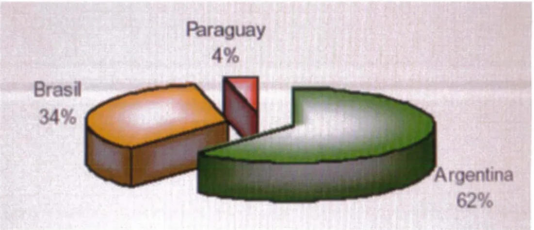 Figure 13  : Participation à la production mondiale de Yerba Maté (26). 
