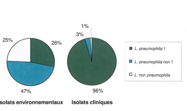 Figure  6 .  Répartition  environnementale  et  clinique  des  Legionella  en  fonction  de  l'espèce et du sérogroupe en 2002  (35)