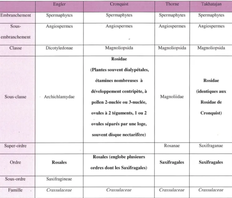 Tableau  I :  Position  de  la  famille  des  Crassulaceae  dans  les  systèmes  de  classifications évolutives [g]  [18] 
