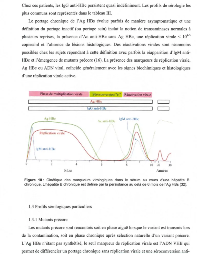 Figure  10 :  Cinétique  des  marqueurs  virologiques  dans  le  sérum  au  cours  d'une  hépatite  B  chronique