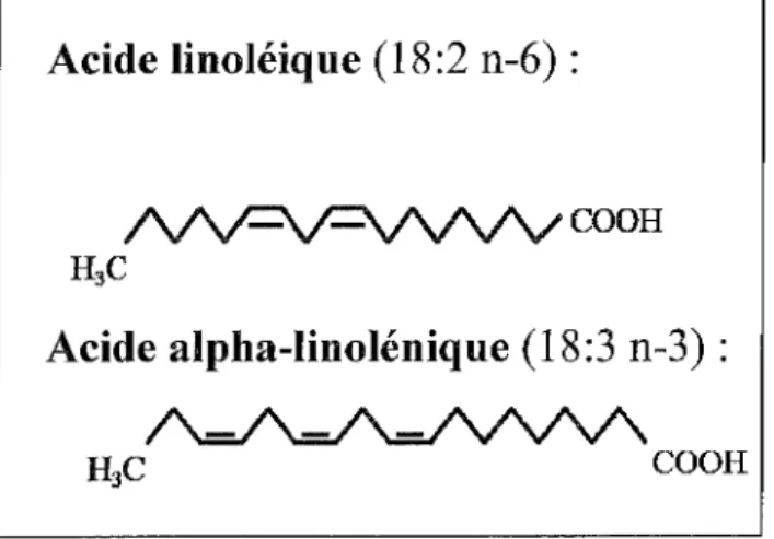 Figure 5 : Structure de l'acide linoléique et de l'acide alpha-linolénique. 