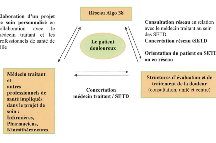 Tableau 8 : Récapitulatif des structures et réseaux douleur en France et leur rôle respectif 