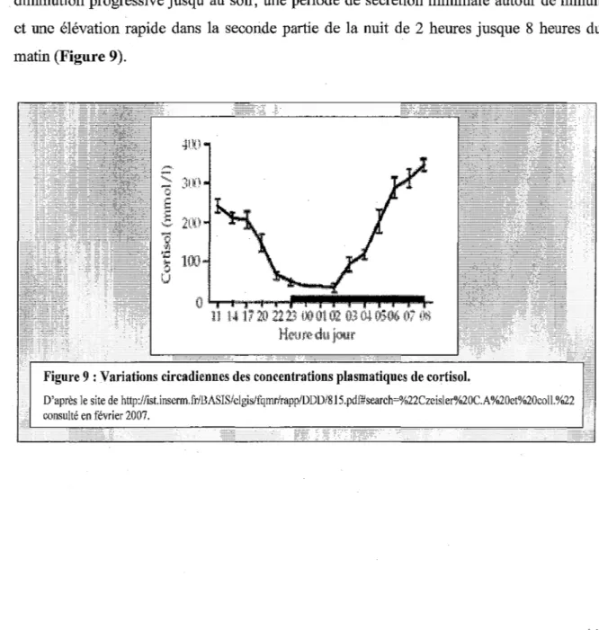 Figure 9 : Variations circadiennes des concentrations plasmatiques de cortisol. 