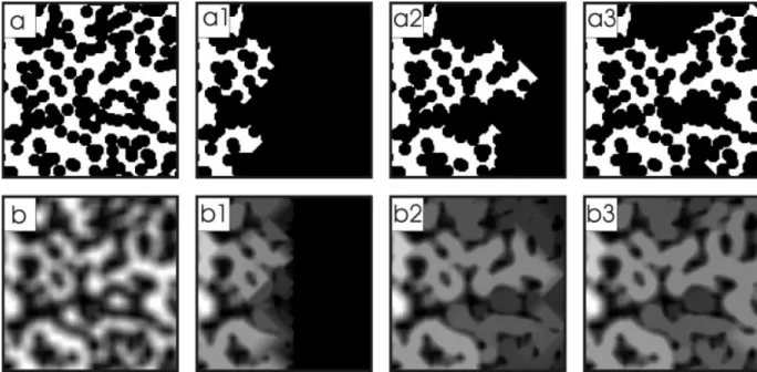 Figure B3. Progressive geodesic reconstruction of a binary (a) and of a gray-tone (b) images.
