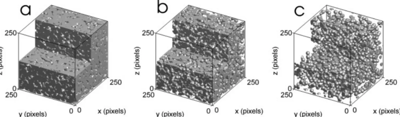Figure 2. X-ray microtomography reconstruction of a sandstone: (a) original gray-tone tomogram (dark 5 pores, gray 5 quartz, bright 5 carbonate cement) and (b) segmented tomogram.