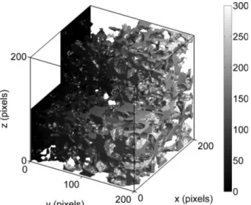 Figure 5 shows the geodesic distance from the y ¼ 0 plane of part of the sandstone to any point of its pore space, using a 6-connectivity of the pixels