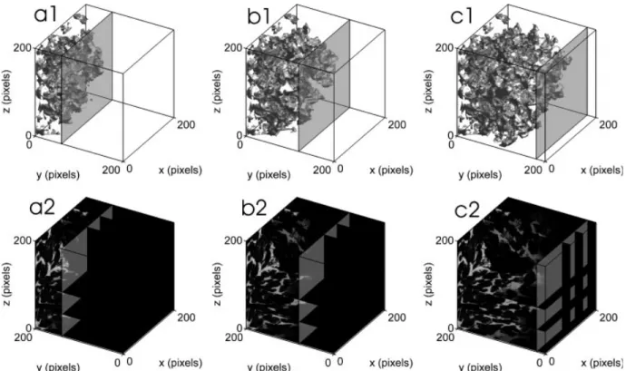 Figure 11. Sketches (a) of the geodesic reconstruction and (b) of the direct reconstruction of a  nar-row tortuous pore.