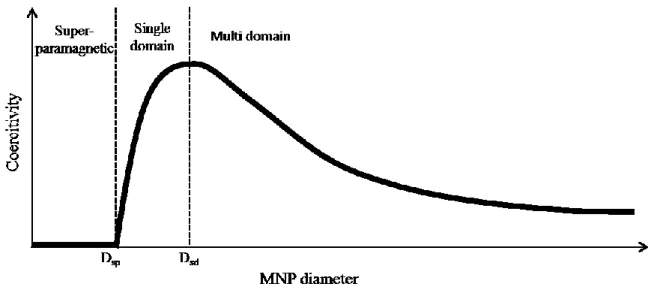 Figure I.1: Effect of particle size on the coercivity of typical MNPs 