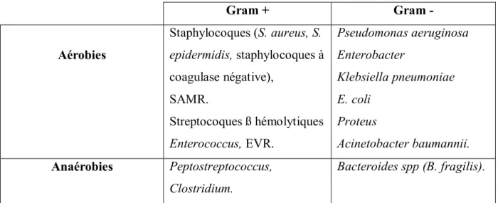 Tableau III : Classification des germes les plus fréquents au niveau d'une plaie 