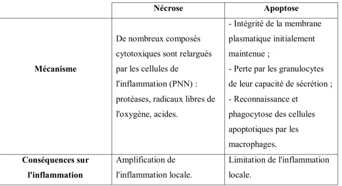 Tableau VI : Rôle de la nécrose et de l'apoptose sur l'inflammation 