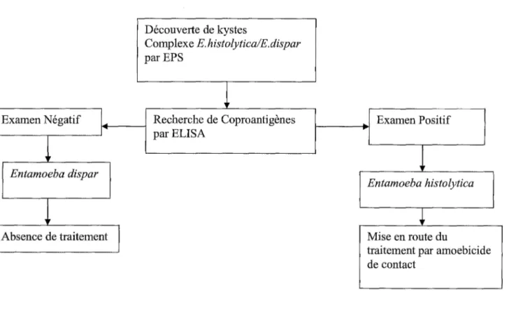Diagramme décisionnel du  diagnostic  chez le  porteur asymptomatique,  d'après Merens 2005 