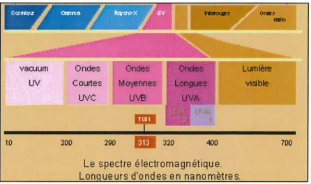 Figure 2.  Le spectre électromagnétique [52] 