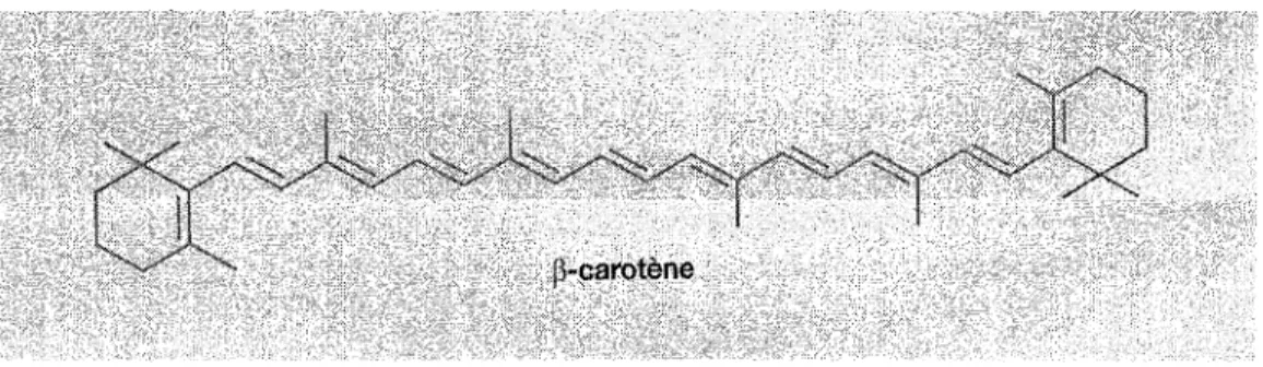 FIGURE 5:  Formule chimique du p-carotène  [13]. 