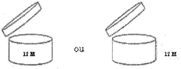 Figure 1 Période après ouverture (PAO) 