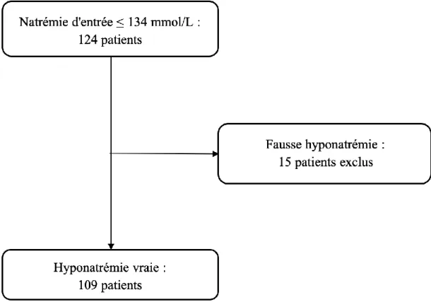 Figure 2 : Diagramme des flux du service de médecine polyvalente, Hôpital Saint Louis  