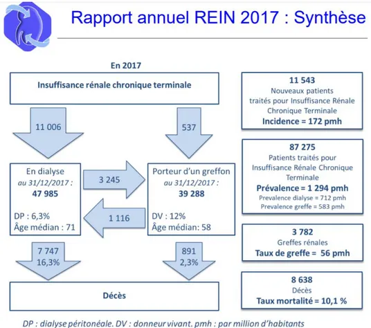 Figure 1: Données épidémiologiques de l’IRCt en France en 2017 (4) 