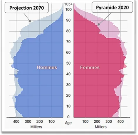 Figure 4 : Pyramide des âges en 2020 et projection en 2070, d’après l’INSEE (45,48) 