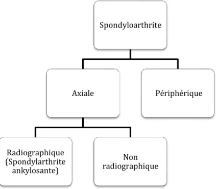 Figure 2. Spondyloarthrites axiales et périphériques  SpondyloarthriteAxiale Radiographique (Spondylarthrite ankylosante)radiographiqueNon Périphérique