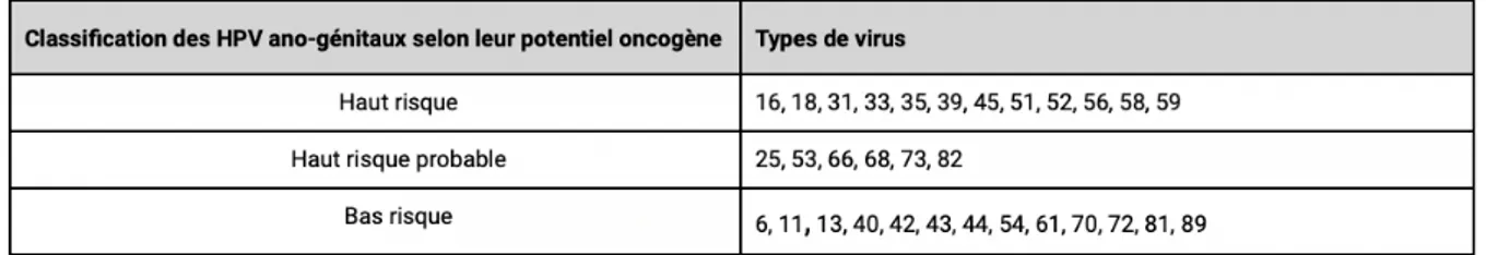 Tableau 2 : Classification des HPV ano-génitaux selon leur potentiel oncogène 