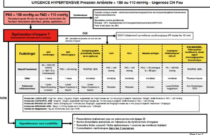 Figure 1. Protocole de traitement antihypertenseur selon l'urgence hypertensive, CH Pau - Dr  Coustère et Dr Boulestreau 