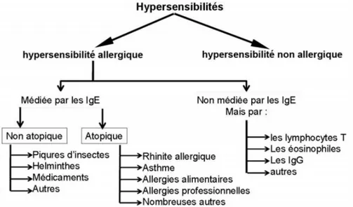Fig. 2 : Classification « actuelle » de l’hypersensibilité selon Johanson et al. EAACI 2001