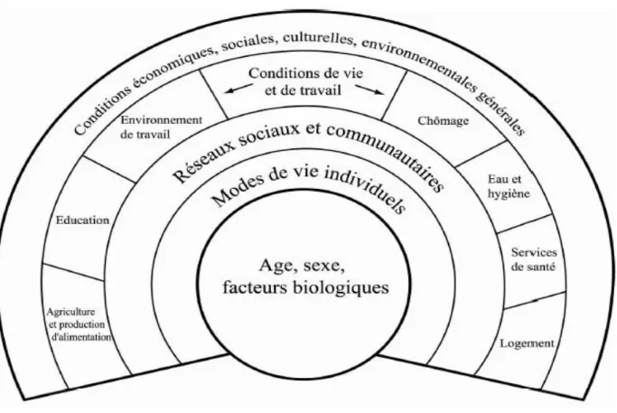 Figure 1 : Déterminants sociaux de santé selon Dahlgren et Whitehead, 1991. 