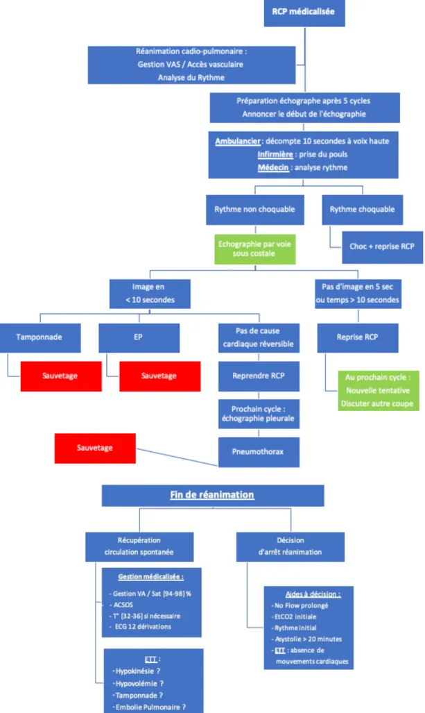 Figure 3  : Protocole d’ECMU intégré à la réanimation de l’ACR 
