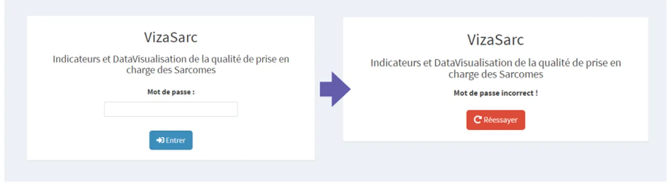 Figure 8 - Page d’accueil de VizaSarc et gestion des mots de passe 