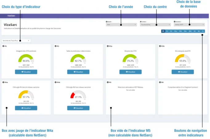 Figure 9 - Tableau de bord de l’application VizaSarc (exemple 1) 