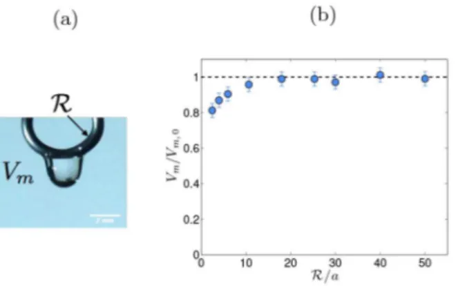 Fig. 3. (a), (b) Chronophotographies of a silicone oil drop (η = 10 mPa · s, ρ = 930 kg/m 3 and γ = 23 mN/m) placed on a helical ﬁber of radius b = 0.6 mm which rotates at ω = 3.1 rad/s