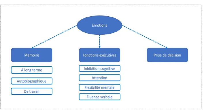 Figure 4 : Synthèse des fonctions cognitives dont l’altération est impliquée dans la vulnérabilité  suicidaire 