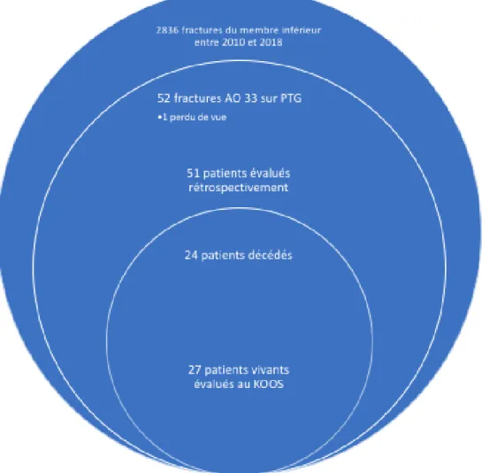 Figure 1 : diagramme de flux des patients inclus. 