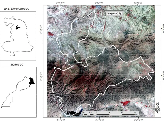Figure 1. Landsat TM5 subscene of Tancherfi commune. 