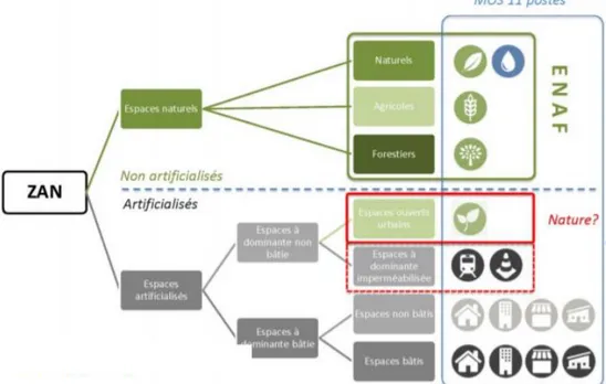 Figure 6 : Schéma de l'IPR des différentes typologies identifiées par le ZAN, source IPR 