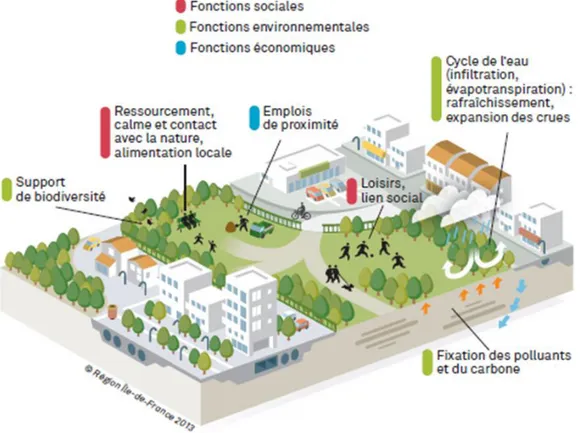 Figure 7 : Bloc diagramme schématique sur les services qu'apportent les Espaces Ouverts Urbains, source IAU 