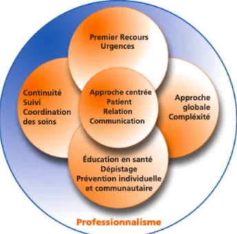 Figure 1. La « marguerite » des compétences du médecin généraliste 