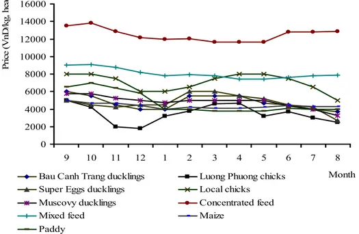 Figure 2:  Fluctuation of prices of some chickenfeed and day old chicks/ducklings in poultry production from September, 2008 to August, 2009