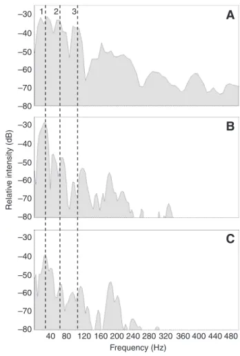 Table 2.  Oreochromis niloticus sound parameters (means ± s.d.) under stimulation with (PJ KO) and without (Stim) the pharyngeal jaws blocked and results of the Mann–Whitney  U -test 