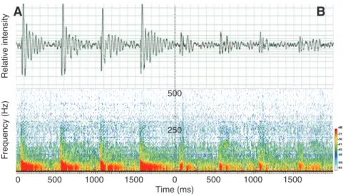 Table 3.  Oreochromis niloticus sound parameters (means ± s.d.) under stimulation, without (Stim) and with pierced swimbladder (SW KO) and results of the Mann–Whitney  U -test 