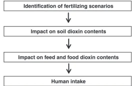Fig. 1. The four steps' model for assessing the inﬂuence of fertilizing practices at ﬁeld scale on dietary dioxin intake by humans.