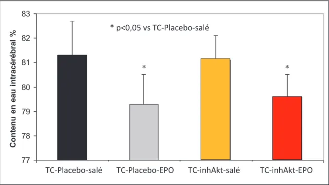 Figure 11 : Contenu en eau intracérébral à H+2 du TC au niveau du cortex dans les groupes  de  rats  TC-Placebo  et  TC-inhAkt
