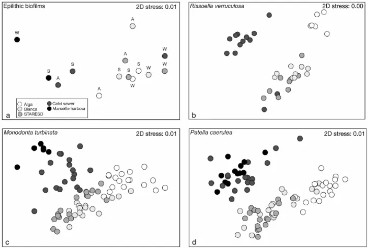 Fig. 2. nMDS ordinations of δ 15 N and δ 13 C individual values from (a) epilithic biofilms, (b) Rissoella 