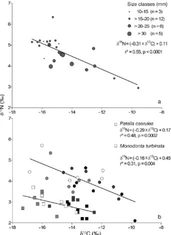 Fig. 5. Relationships between δ 15 N and δ 13 C values for size classes (in mm) of Patella caerulea individuals from  (a) STARESO and (b) for small-scale values from P