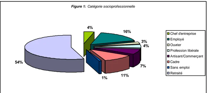 Figure 1:  Catégorie socioprofessionnelle