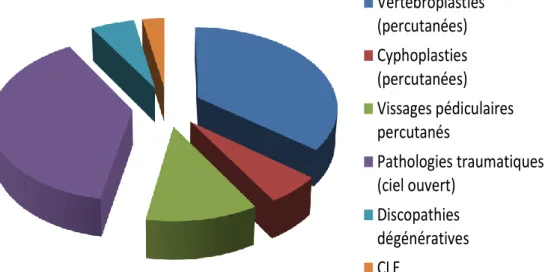Figure 1 : Répartition des différents types d’indications chirurgicales rachidiennes                       dans le groupe A 