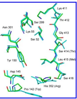 Table 4. Active Site Residues of PBP4a and the R39 DD - -Peptidase in Contact with Speci ﬁ c Substrates