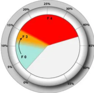 Fig. 3 : Exemple d’aire de fibrose